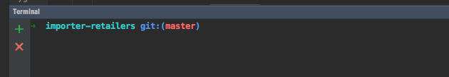 ZSH Terminal within PHPStorm